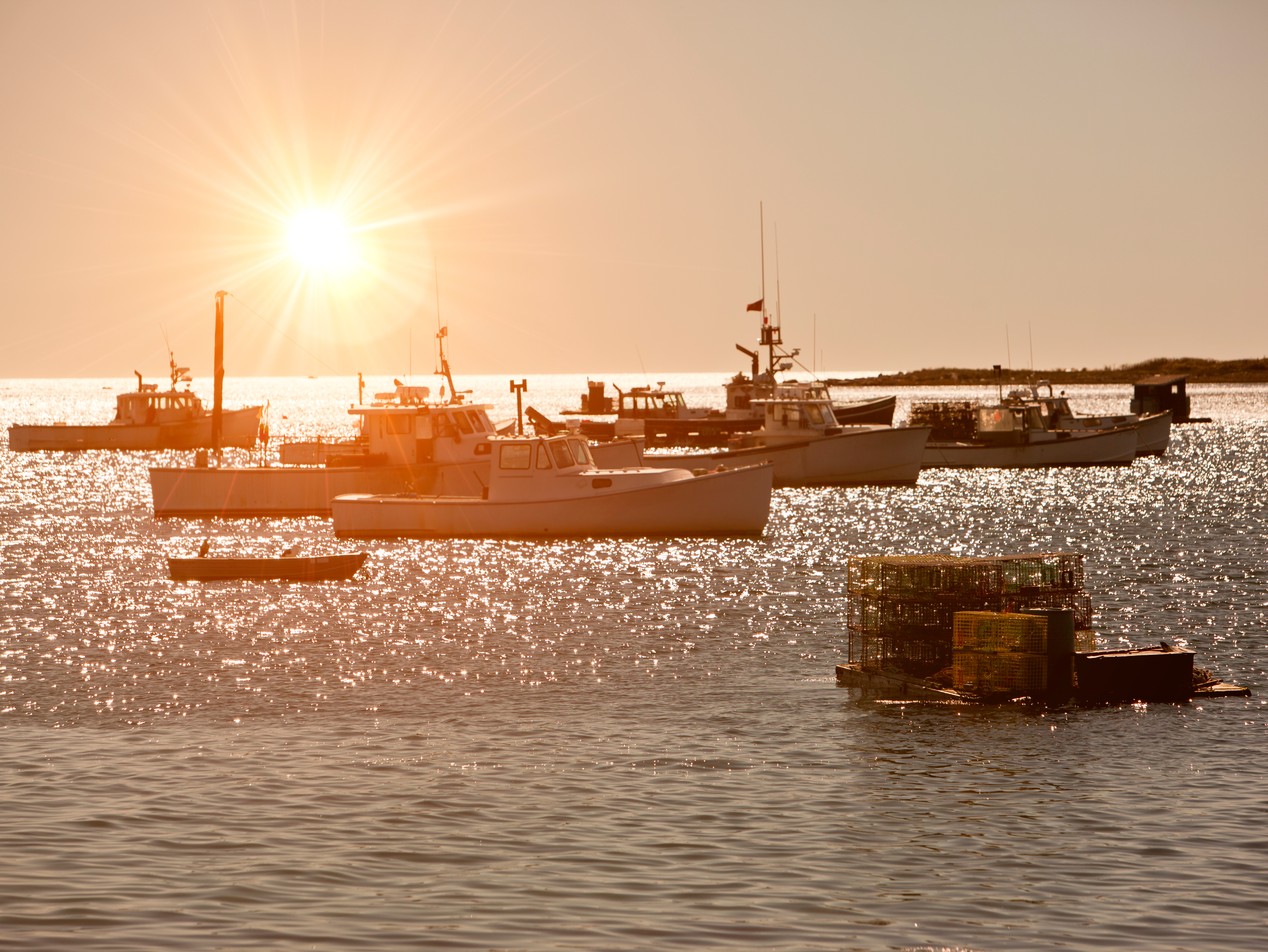 Commercial fishing boats in a New England harbor